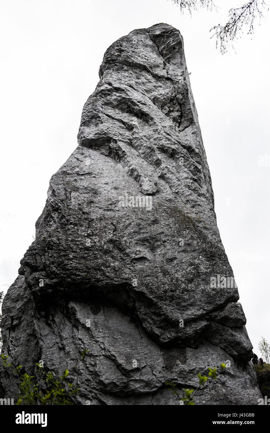 Polnischen Jura Felsen auf einem Hügel im Jura Krakowsko-Czestochowska. Stockfoto