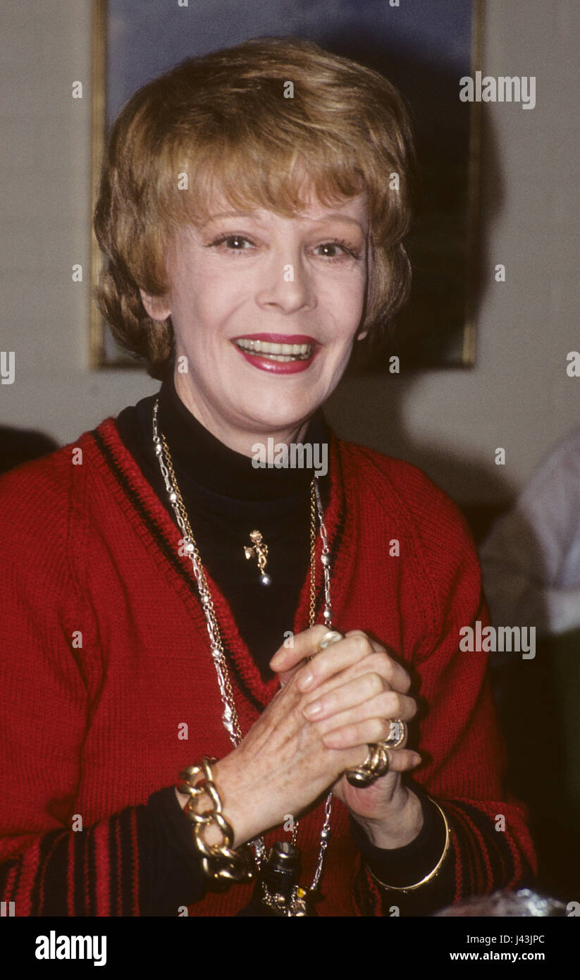 SIGNE HASSO schwedische Schauspielerin 1988 Stockfoto