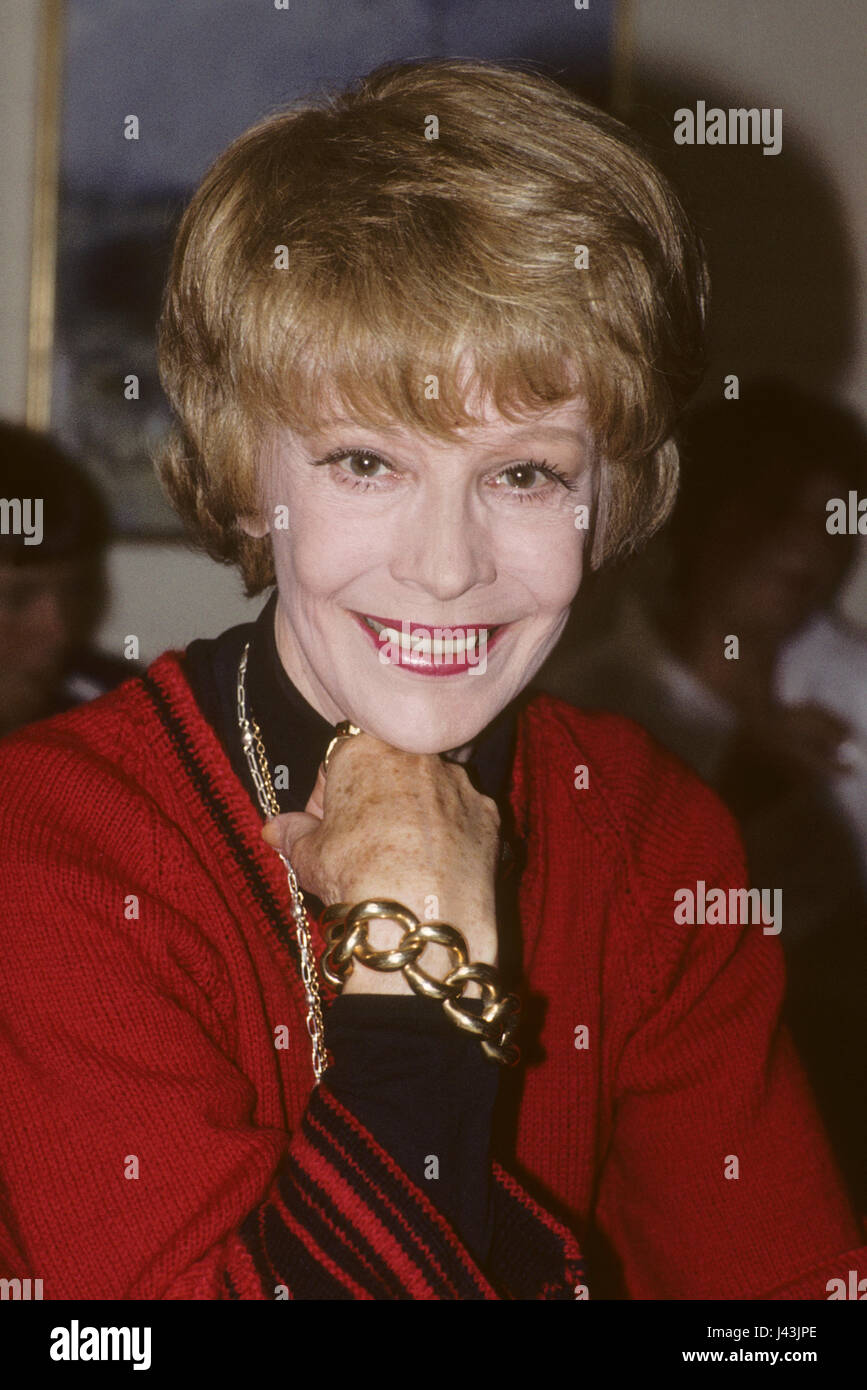 SIGNE HASSO schwedische Schauspielerin 1988 Stockfoto