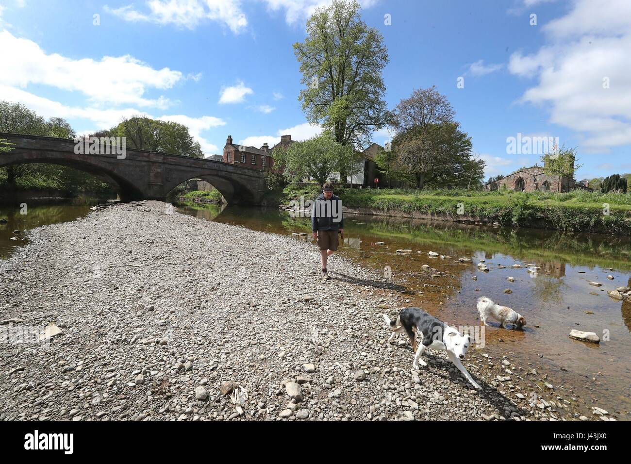 Eine Gesamtansicht des Flusses Eden in Cumbria Niedrigwasser, anzeigen, da Ängste für eine Sommertrockenheit nach einem der trockensten Winter in den vergangenen zwei Jahrzehnten wachsen. Stockfoto