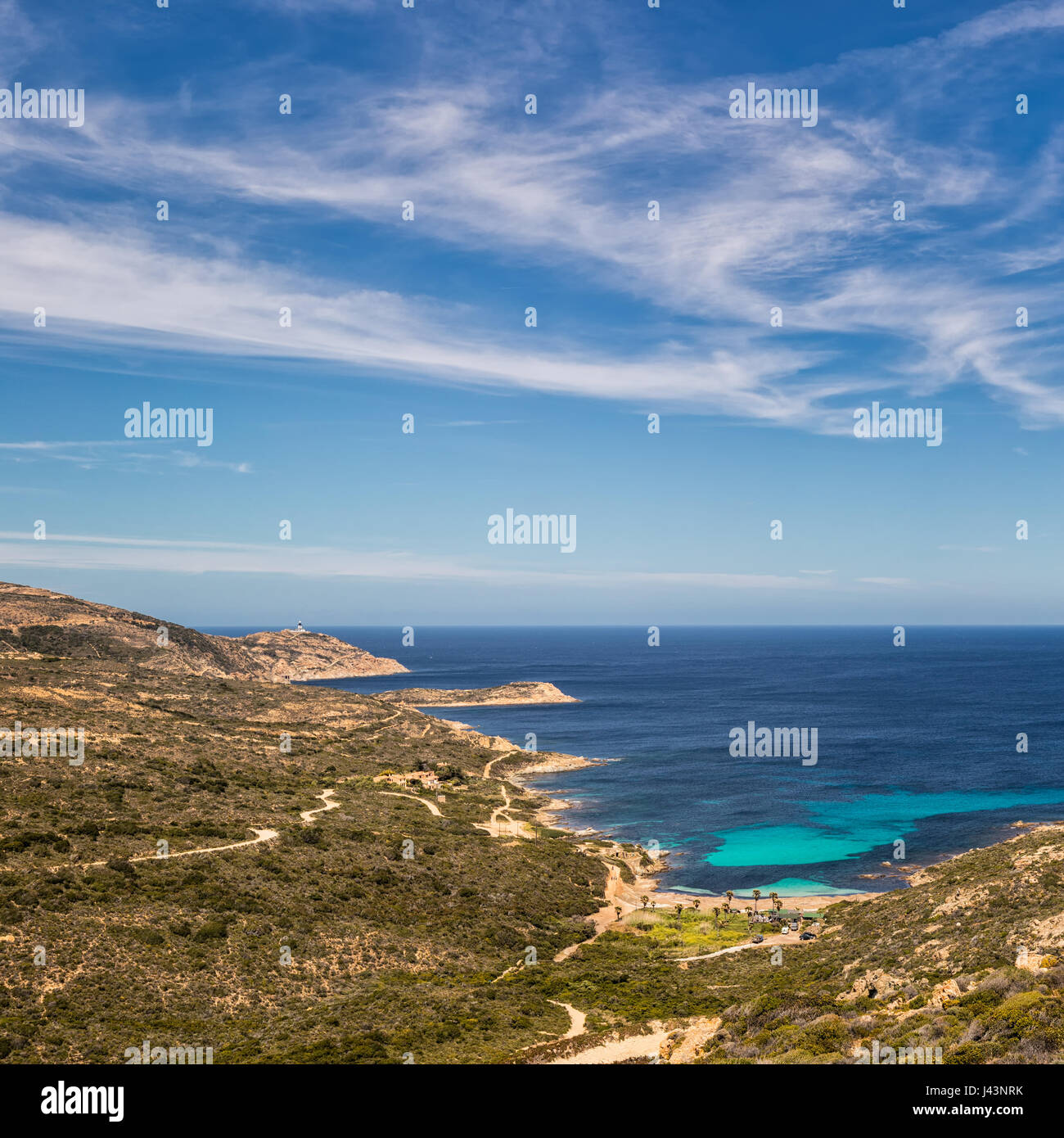 Ansicht der Macchia und die Küste von Revellata in der Nähe von Calvi an der Westküste von Korsika mit Blick auf Leuchtturm in Distanz und Türkis mediterrane s Stockfoto
