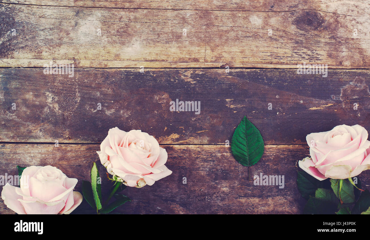 romantische Vintage Rosen-header Stockfoto