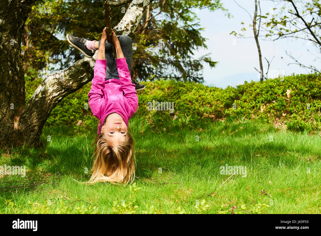 Kind blondes Mädchen Kletterbaum in einem Park im freien Stockfoto