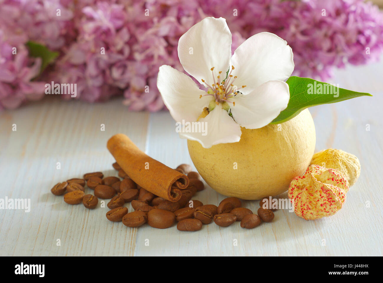 Kaffee Körner weiße Blume Stillleben Hintergrundvorlage. Vintage Holztisch Bohnen Zimt Geschmack Dekoration. Stockfoto