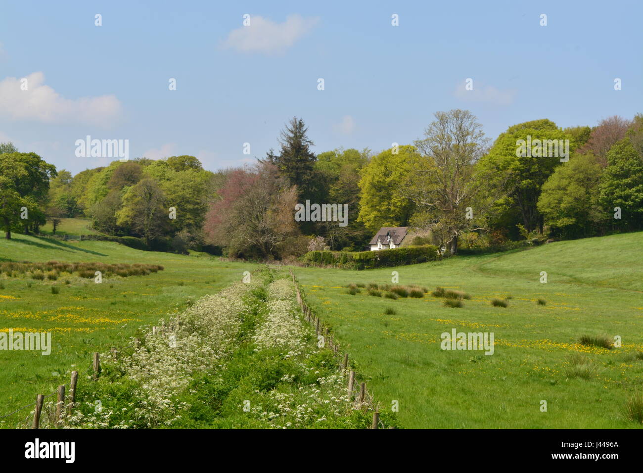 Eine idyllische walisische Landschaft im Frühling Stockfoto