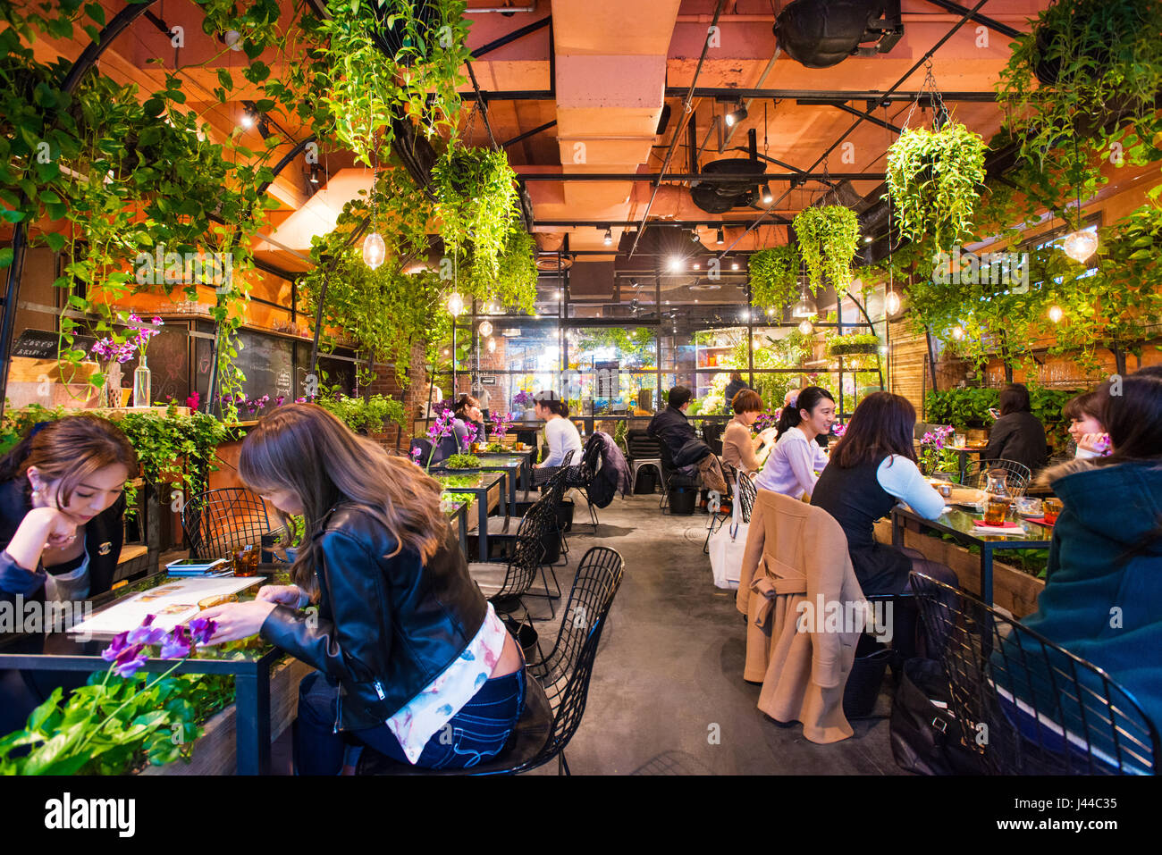 Gäste genießen Sie eine Mahlzeit im Aoyama Flower Market Tee Haus in Aoyama, Tokyo, Japan Stockfoto