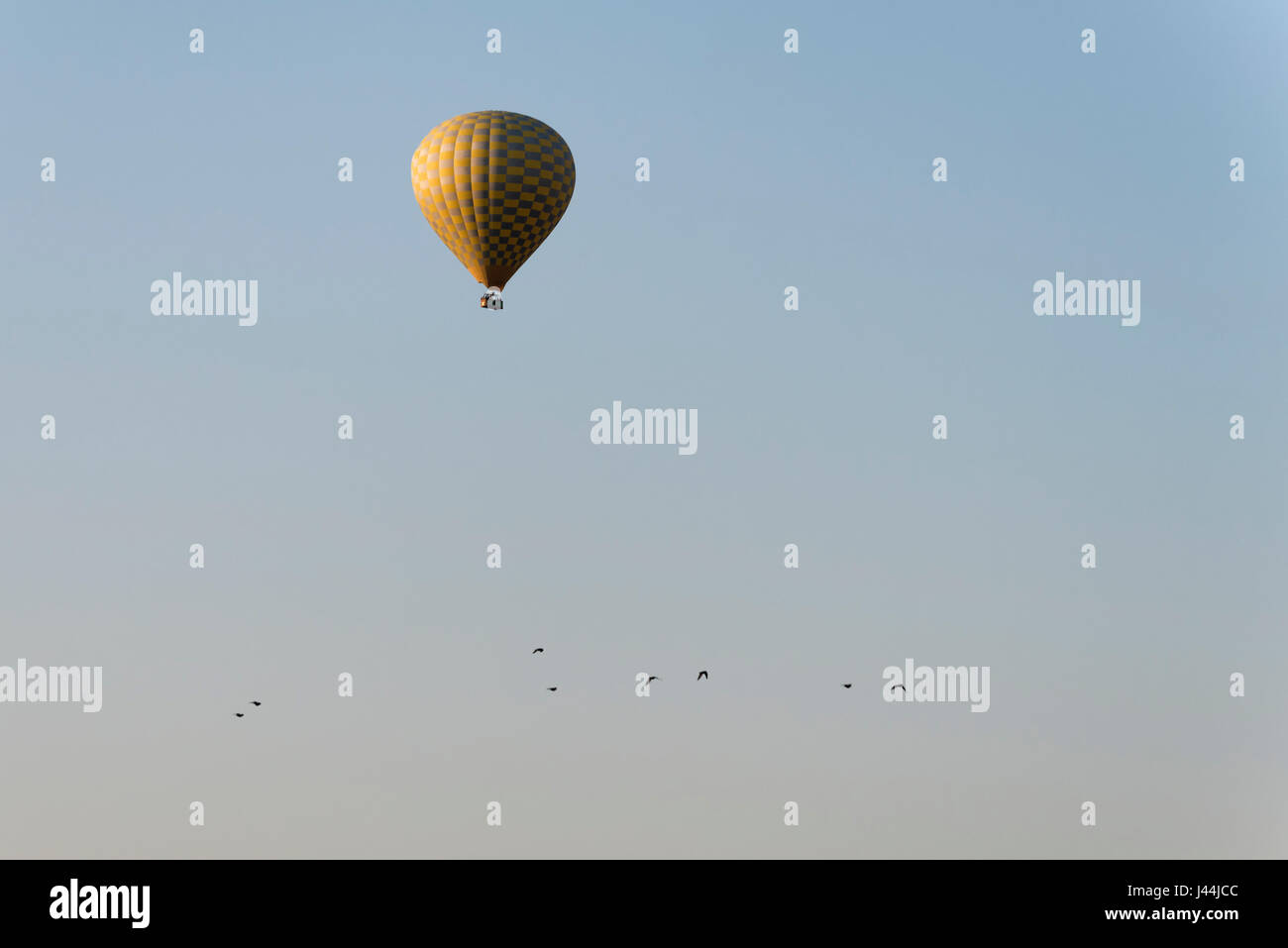 Heißluft-Ballon und Vögel in den Himmel Stockfoto