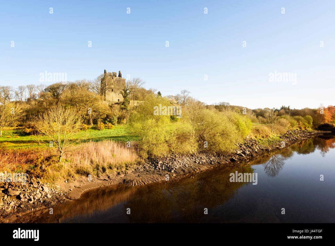 Cardoness Castle Turm aus dem 15. Jahrhundert Haus nahe Gatehouse of Fleet in Dumfries & Galloway-Schottland Stockfoto