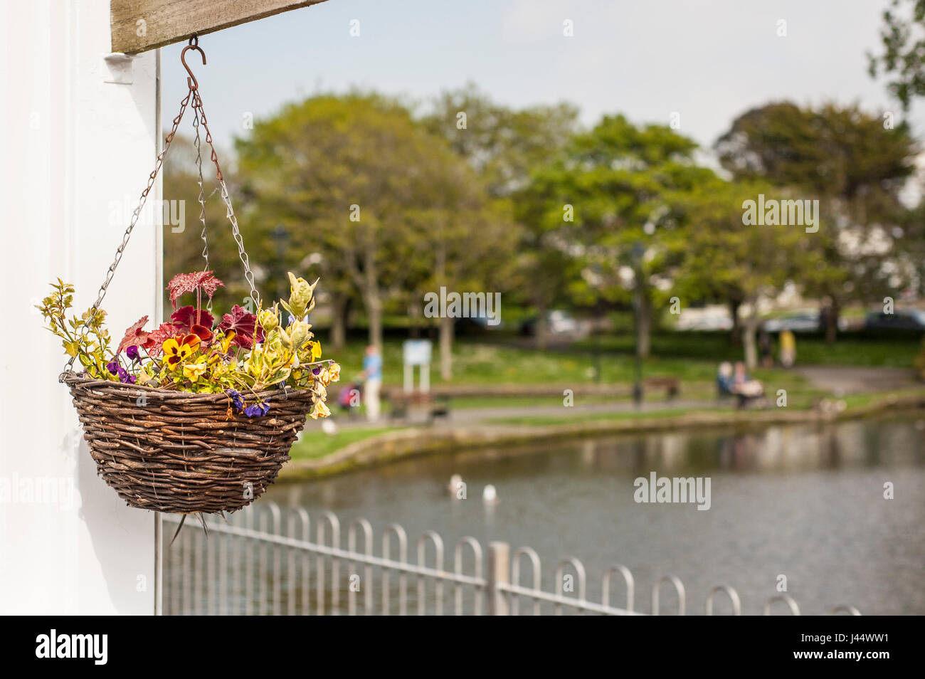 Ein verwahrloster hängenden Korb mit Blumen Dekoration Uncared für Sad Stockfoto