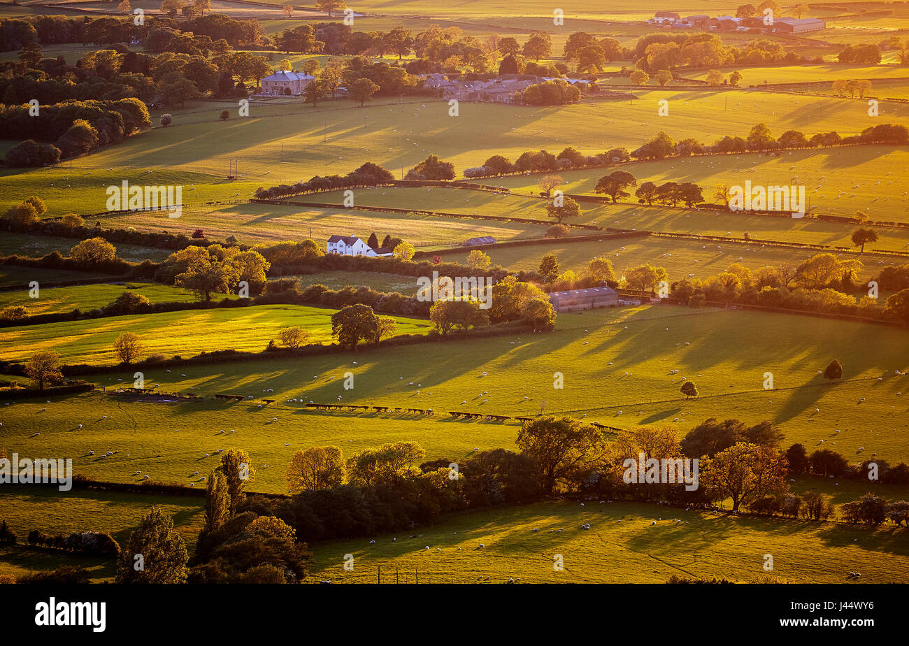 Yorkshire-Felder bei Sonnenuntergang Stockfoto