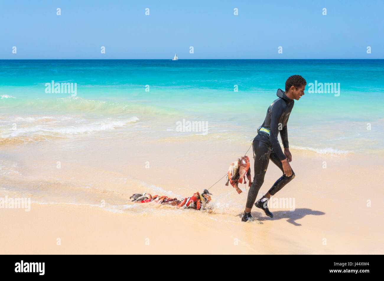 Kap VERDE-SAL junge im Neoprenanzug am Ponta Preta Strand in der Nähe von Draging ein Fang von Fischen in einer Zeile hinter Santa Maria Sal Insel Kapverden Afrika Stockfoto