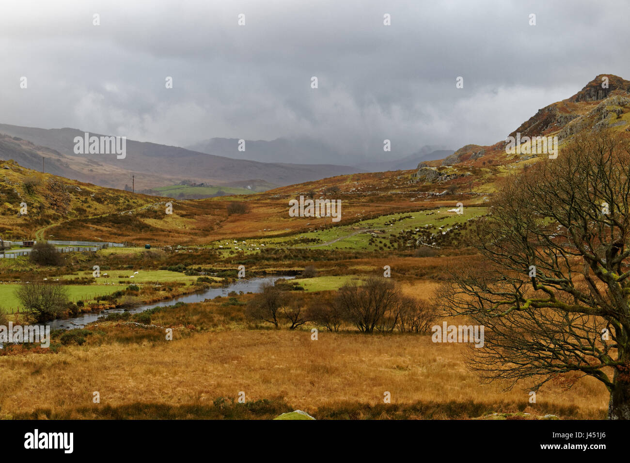 Blick auf die Nantygwryd und Snowdon von Capel Curig Stockfoto