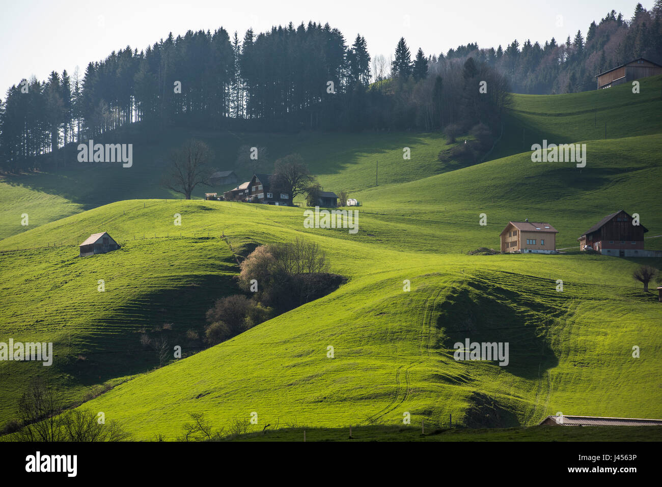 Blick auf die ländliche Landschaft des Gebiets rund um die Schweizer Stadt Appenzell, Schweiz. Derek Hudson / Alamy Stock Foto Stockfoto