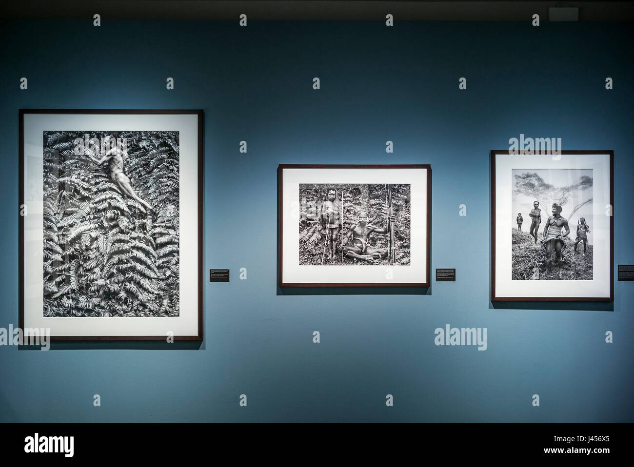 Ansichten des Sebastiao Salgados "Genesis"-Fotoausstellung im CO-Galerie, Berlin. Derek Hudson / Alamy Stock Stockfoto