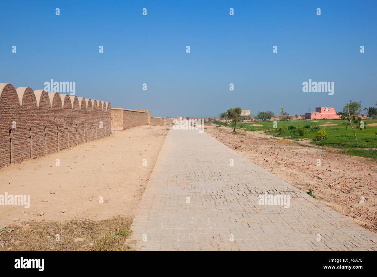 Restaurierungsarbeiten an der Spitze der Bhatner Festung Rajasthan Indien mit Akazien und einen Blick auf Backsteinbauten unter blauem Himmel im Frühling Stockfoto