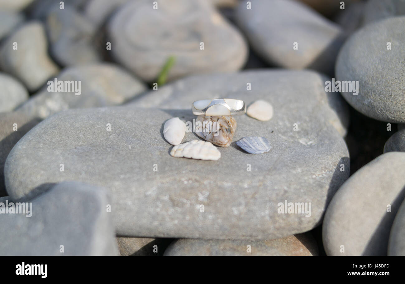 Ein Ring aus Kiesel und kleine Schale Fensterläden auf einem großen Stein Stockfoto