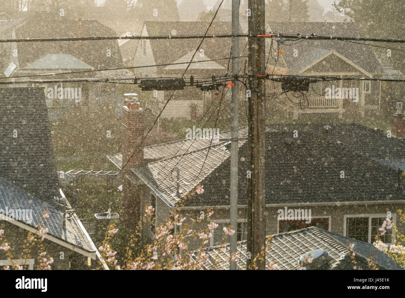 Website des Grabens des Grundstein für ein Gebäude, Seattle, WA, USA Stockfoto