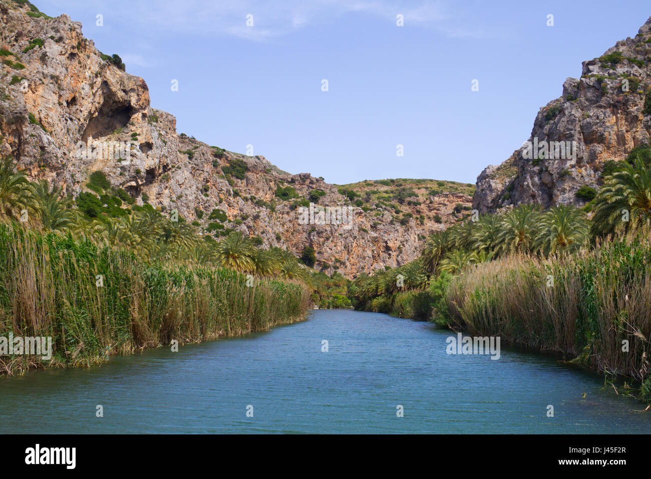 Kretische Datum Palmen auf beiden Seiten Megalou Potomau Fluss in die Preveli Schlucht auf Kreta, Griechenland Stockfoto