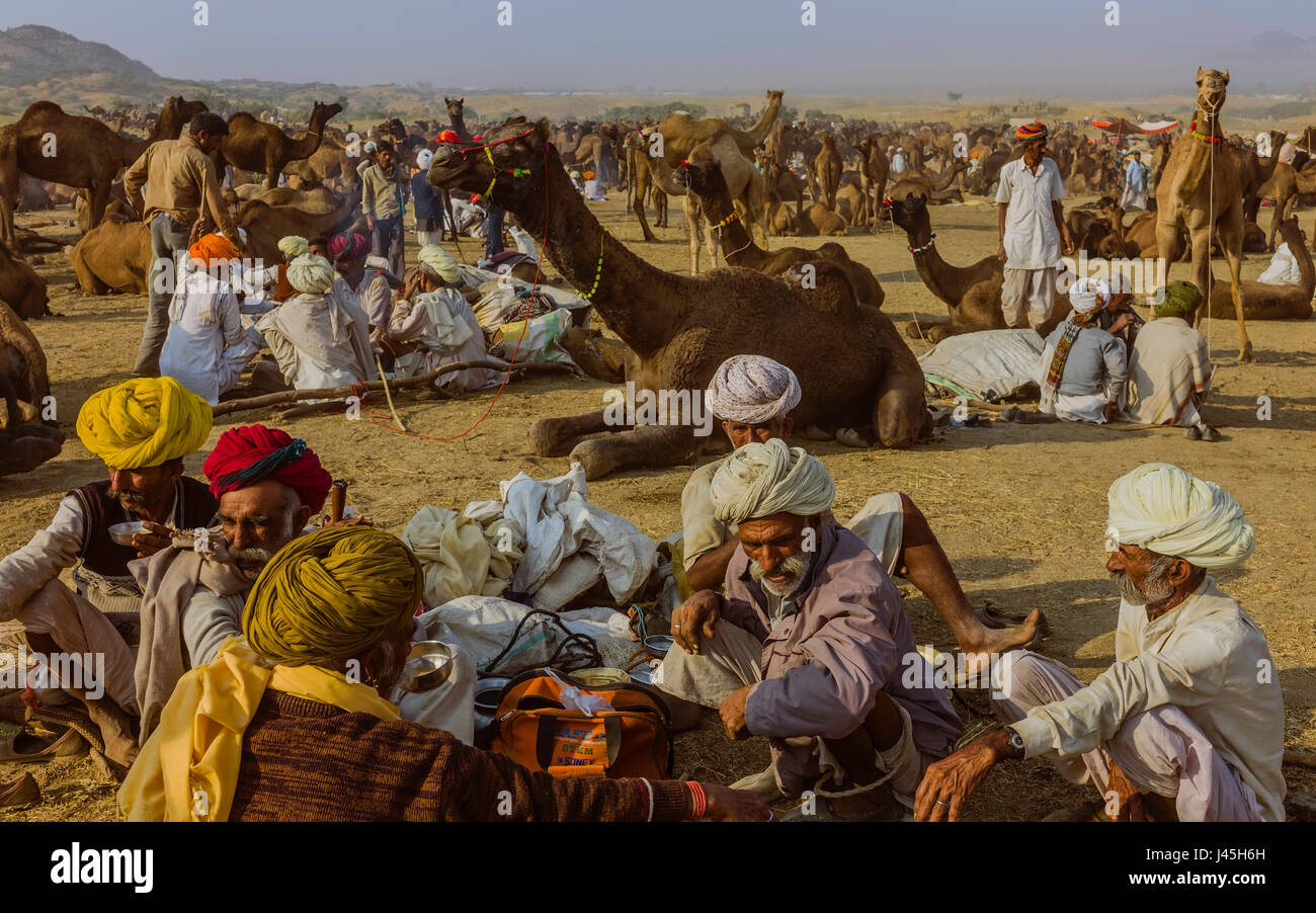 Traditionelle Kamel Händler verhandeln der Kauf und Verkauf von Kamelen in das Herzstück der Thar in der Nähe von Pushkar, Rajasthan, Indien. Stockfoto