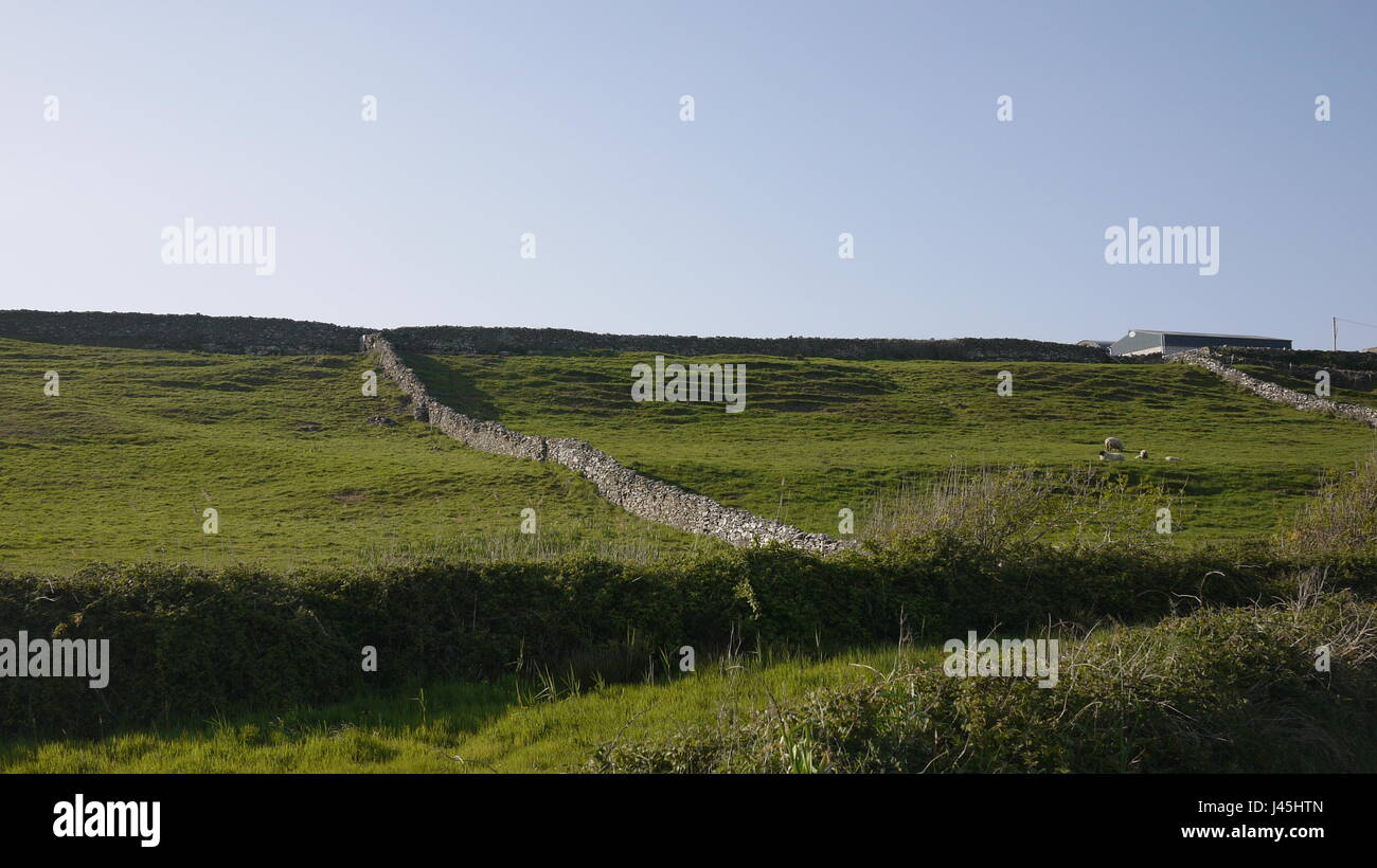 Irische Landschaft Stockfoto