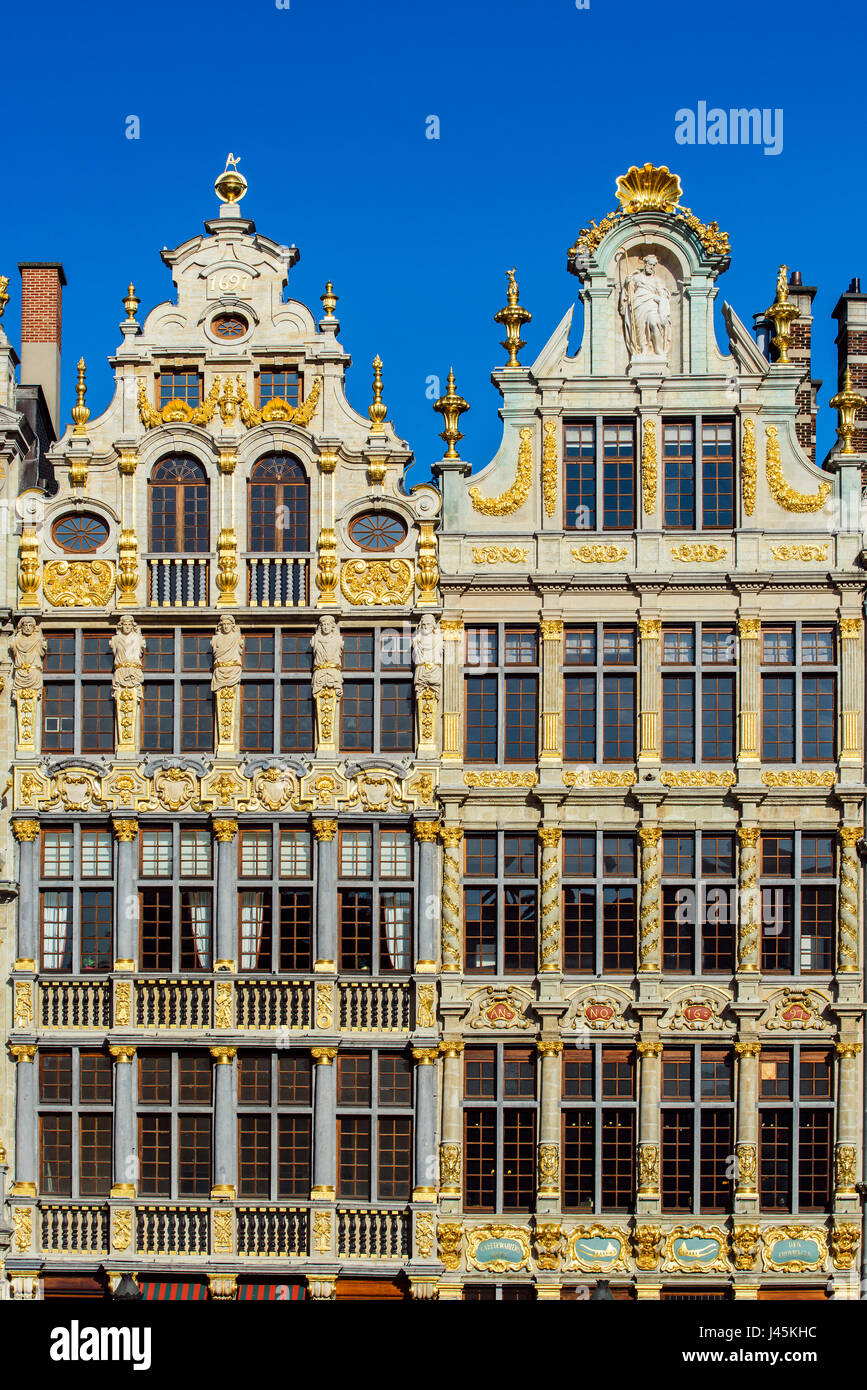 Zunfthäuser in Grand Place, Brüssel, Belgien Stockfoto