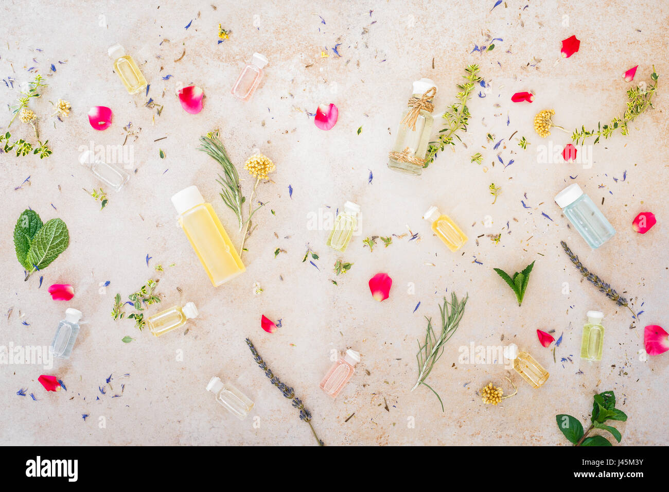 Verschiedenen Hautpflege Öle, frische Heilkräuter und Blumen für die Spa-Behandlung, auf Beton. Ansicht von oben, Leerzeichen Stockfoto