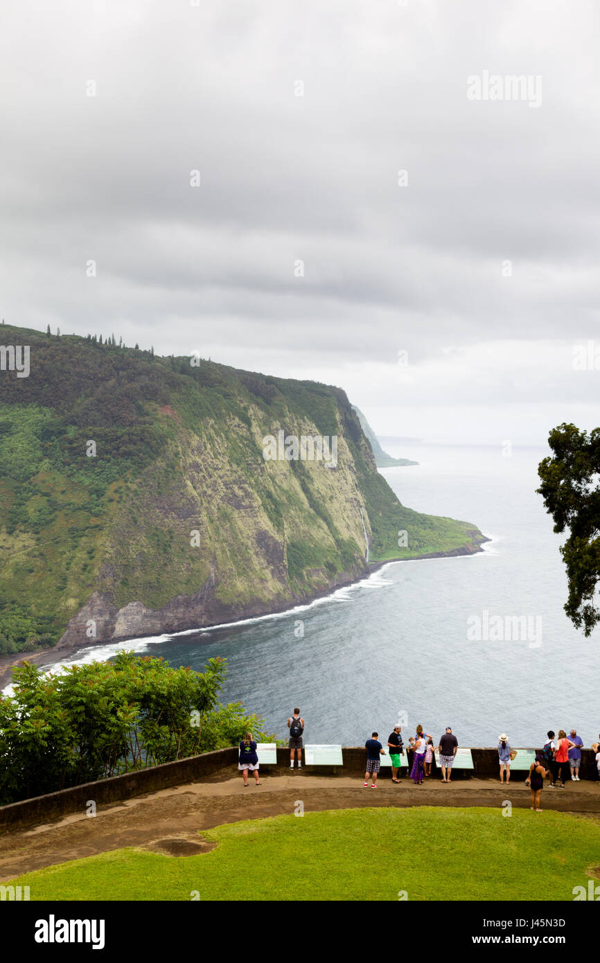 Touristen, die gerne über Waipio Valley aus dem Waipio Valley Lookout auf Big Island, Hawaii, USA. Stockfoto