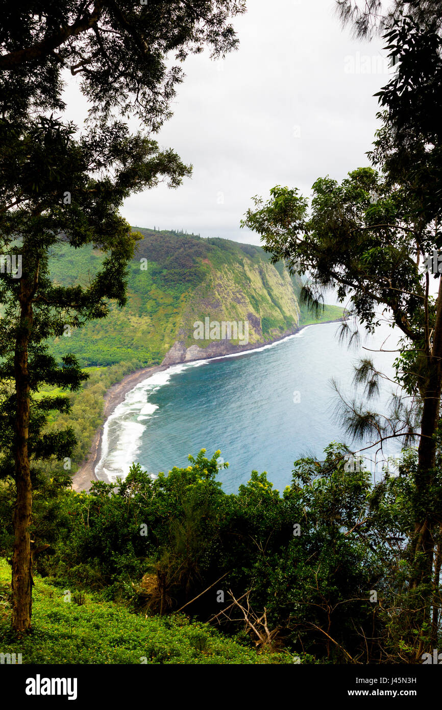 Blick über Waipio Valley auf Big Island, Hawaii, USA. Stockfoto