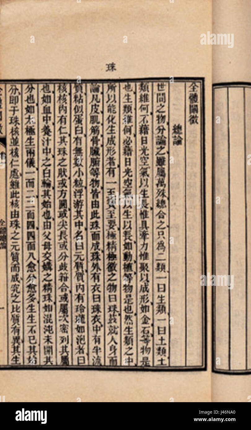 Die Osgood-Anatomie bezieht sich auf eine anatomische Studie oder Arbeit, die mit den anatomischen Studien eines Osgood zusammenhängt. Einzelheiten zu den spezifischen Arbeiten bleiben ungenau. Stockfoto