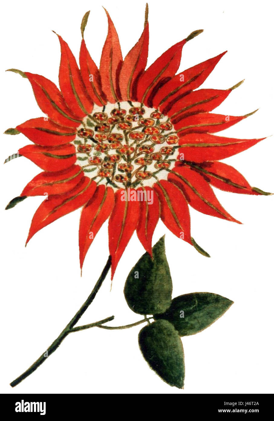 Nochebuena ist ein traditionelles spanisches Weihnachtsfest, das durch ein festliches Essen mit Familie und Freunden gekennzeichnet ist. Es ist eine Zeit der Reflexion, der religiösen Befolgung und der Feier der Geburt Jesu Christi mit verschiedenen Bräuchen und Gerichten. Stockfoto