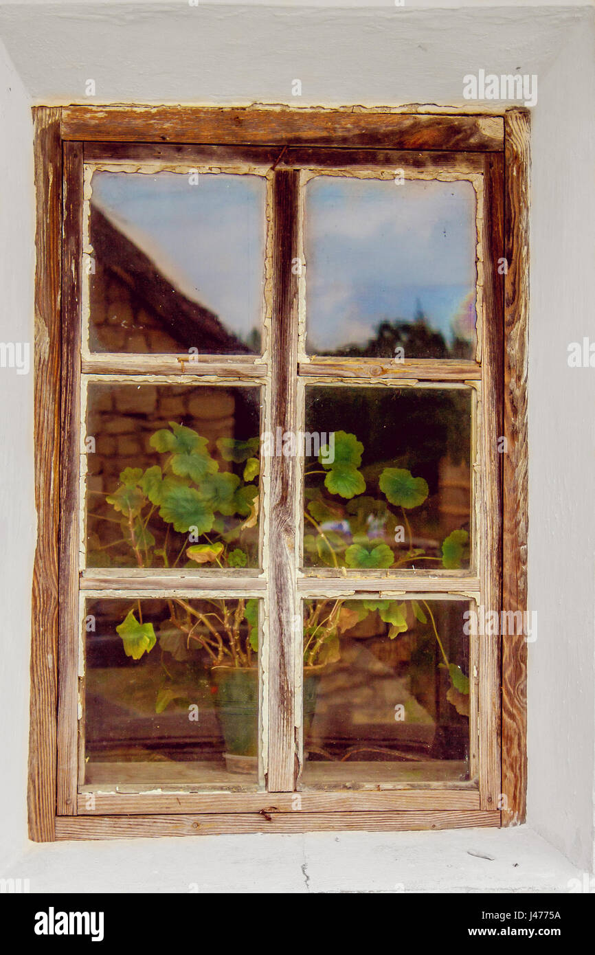 Magier eines alten Fensters mit einem Holzrahmen und einer Blume auf der Fensterbank Stockfoto