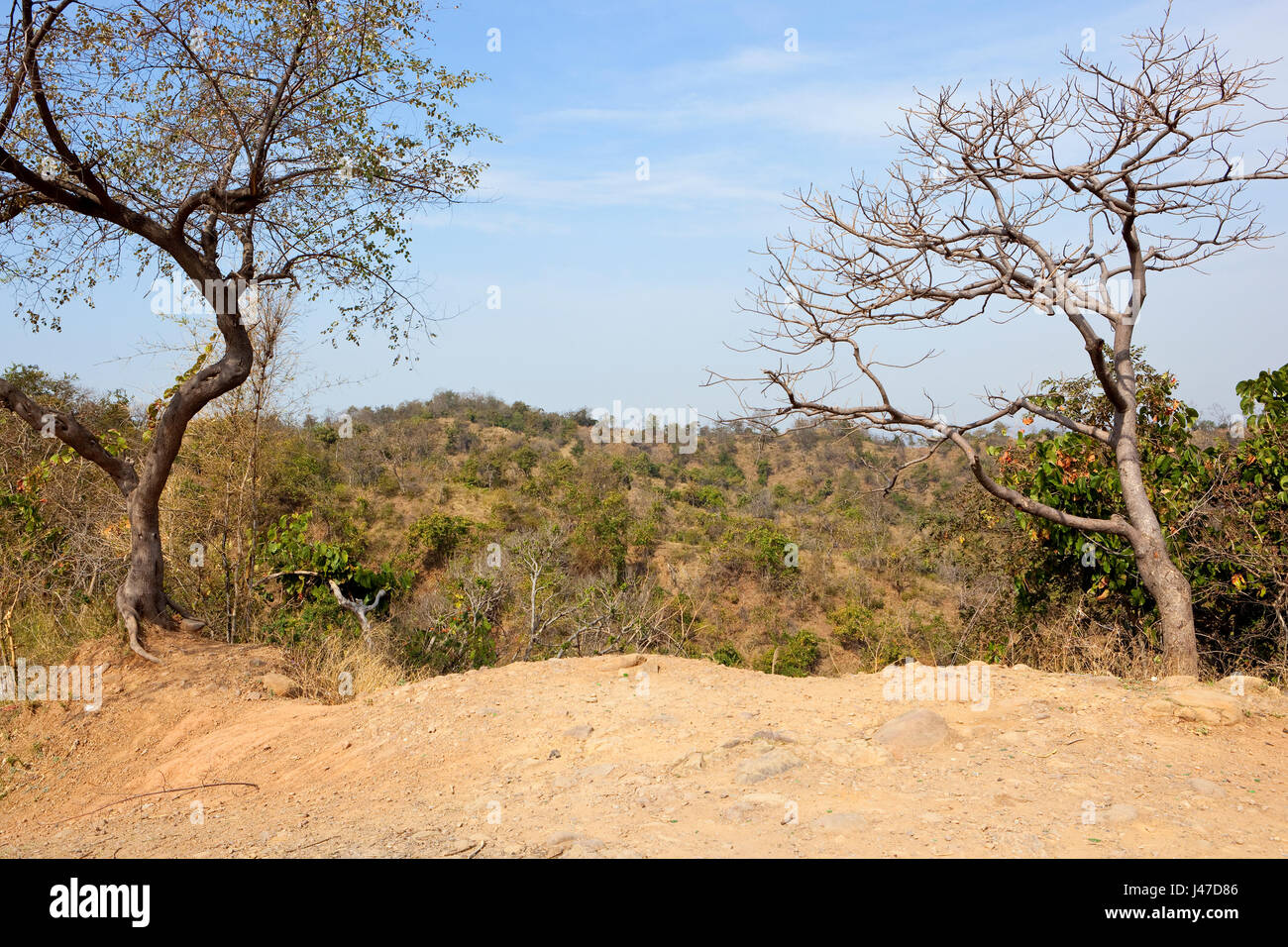 sandigen und trockenen Berglandschaft im Morni Hills Nature Reserve in der Nähe von Chandigarh in Punjab mit Akazien Wald bei bewölktem Himmel blau im Frühling Stockfoto