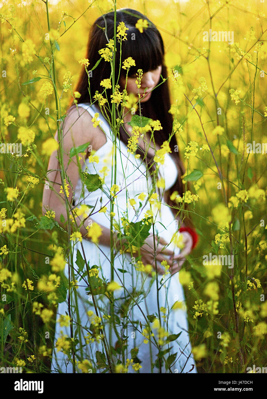 Schöne schwangere junge asiatische Frau mit langen schwarzen Haaren trägt ein weißes Kleid ihr Holding Bauch wie steht sie in einem Feld von gelber Senf Blumen ein Stockfoto