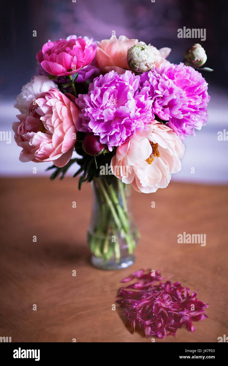 Schönen Blumenstrauß rosa und rote Pfingstrose Blüten in Glas Vase mit Haufen von roten Blütenblättern Stockfoto