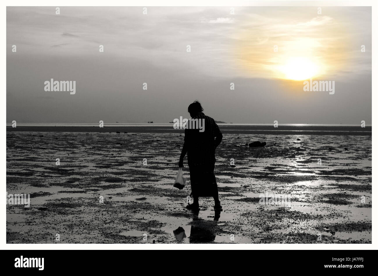 Einsame ältere Thay Lady auf der Suche nach einem Schatz im Meer bei Ebbe, während die Sonne herab. Stockfoto