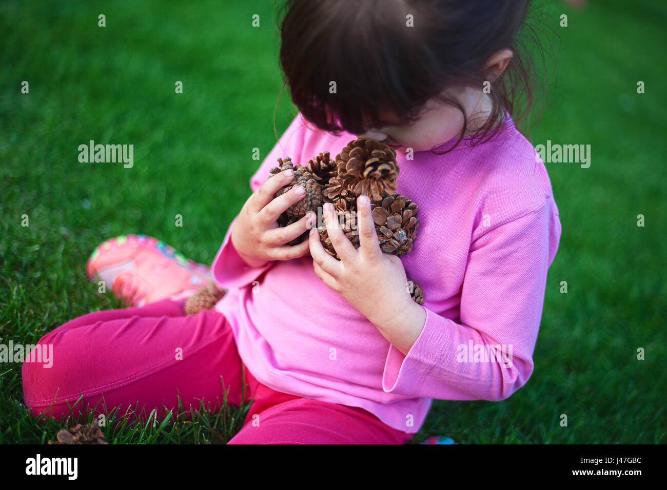 Kleines Mädchen hält viele Tannenzapfen auf dem Rasen. Stockfoto