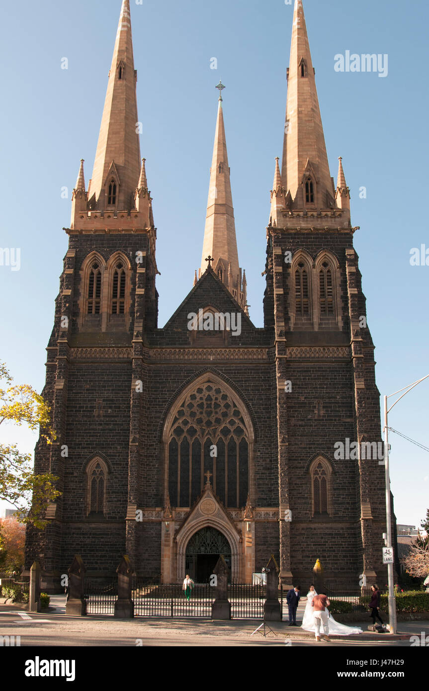 Hochzeitsgesellschaft posiert für Fotos an St. Patricks Kathedrale (1897) Melbourne, Australien, Stockfoto
