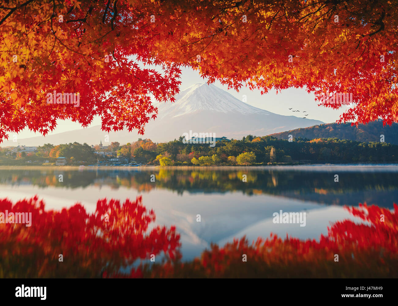 Mt.Fuji im Herbst am Sonnenaufgang am Lake Kawaguchiko, Japan. Stockfoto