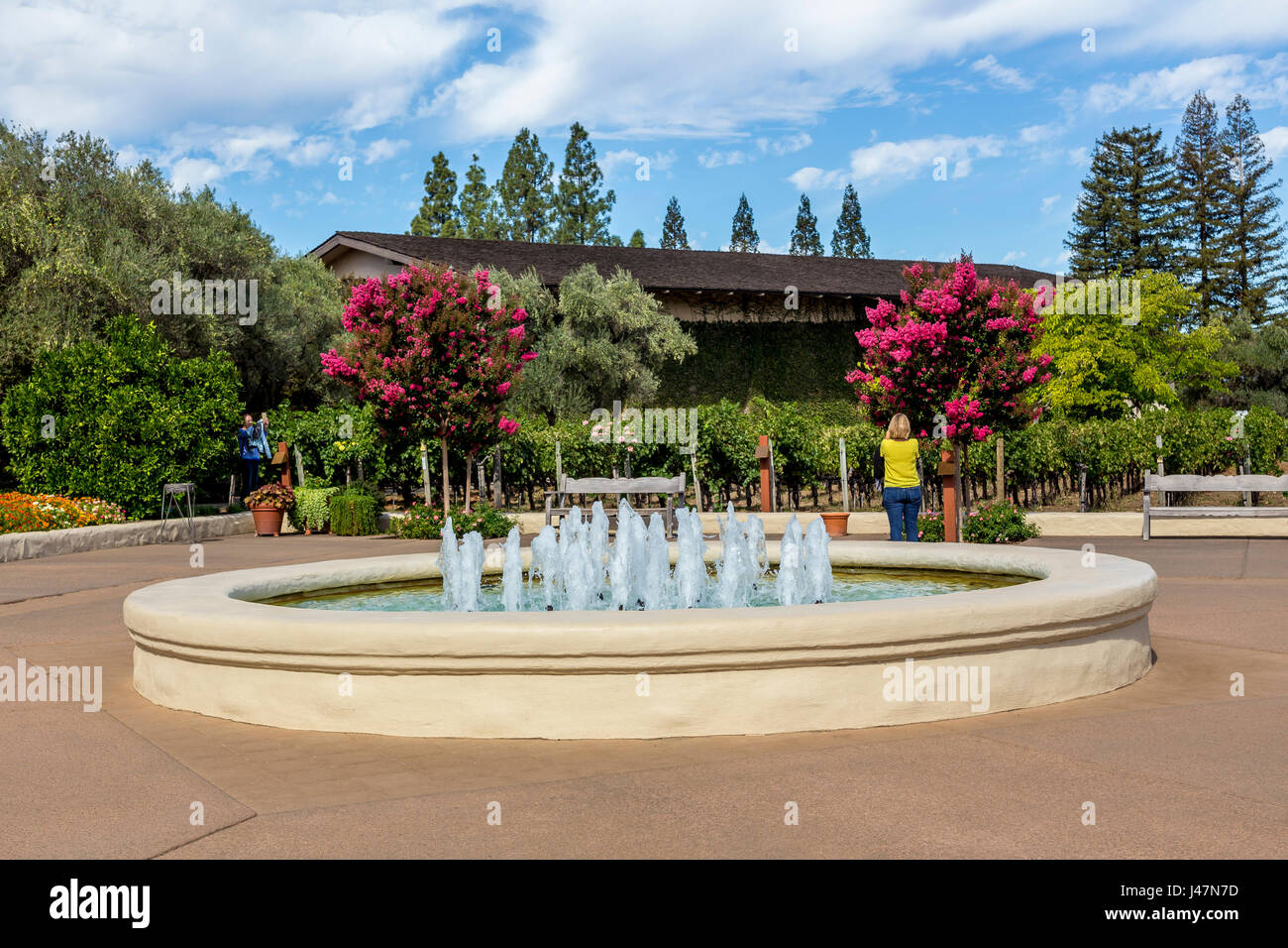 Wasser-Brunnen, Eingang, Robert Mondavi Winery, Oakville, Napa Valley, Napa County, Kalifornien Stockfoto