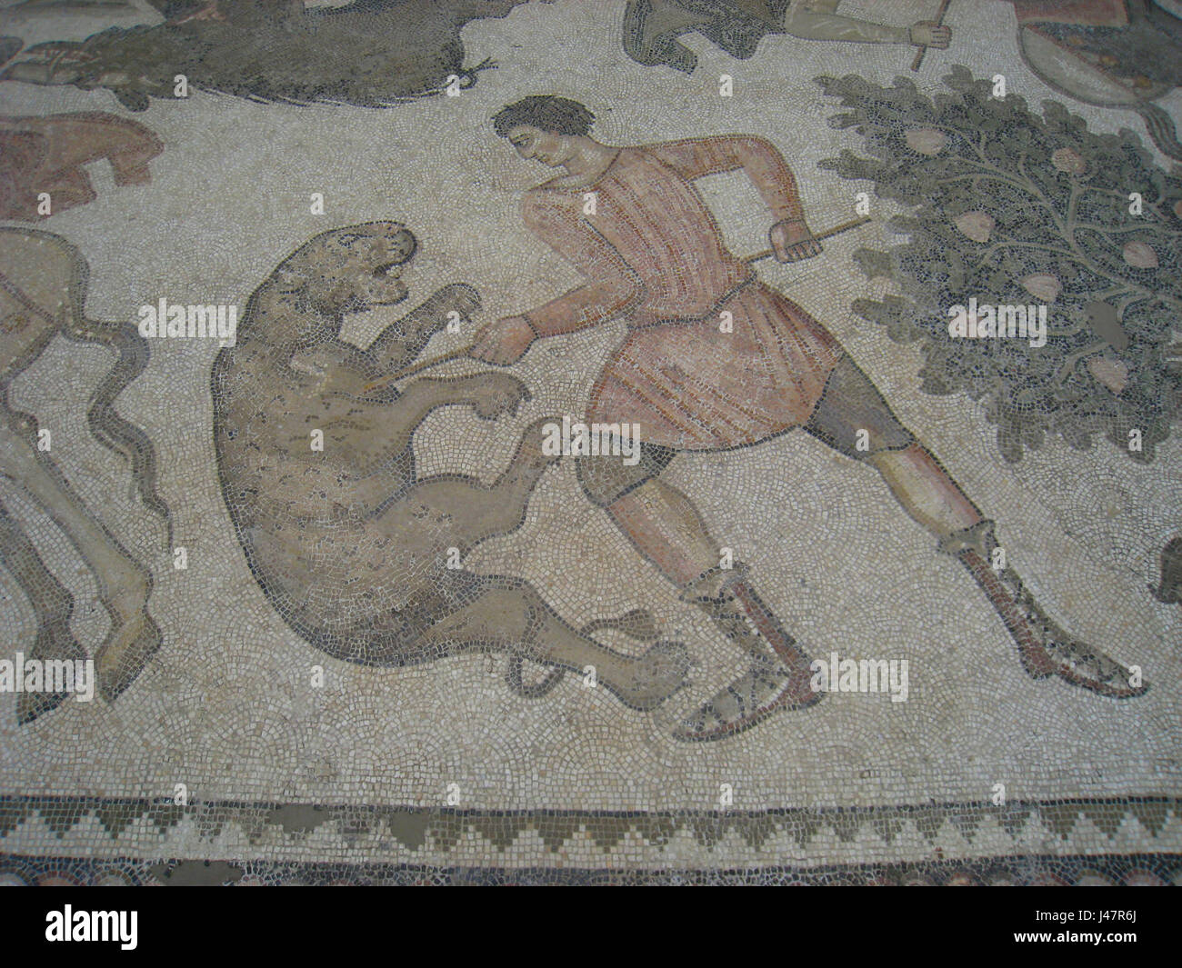 Mosaike, Worcester Art Museum IMG 7445 Stockfoto