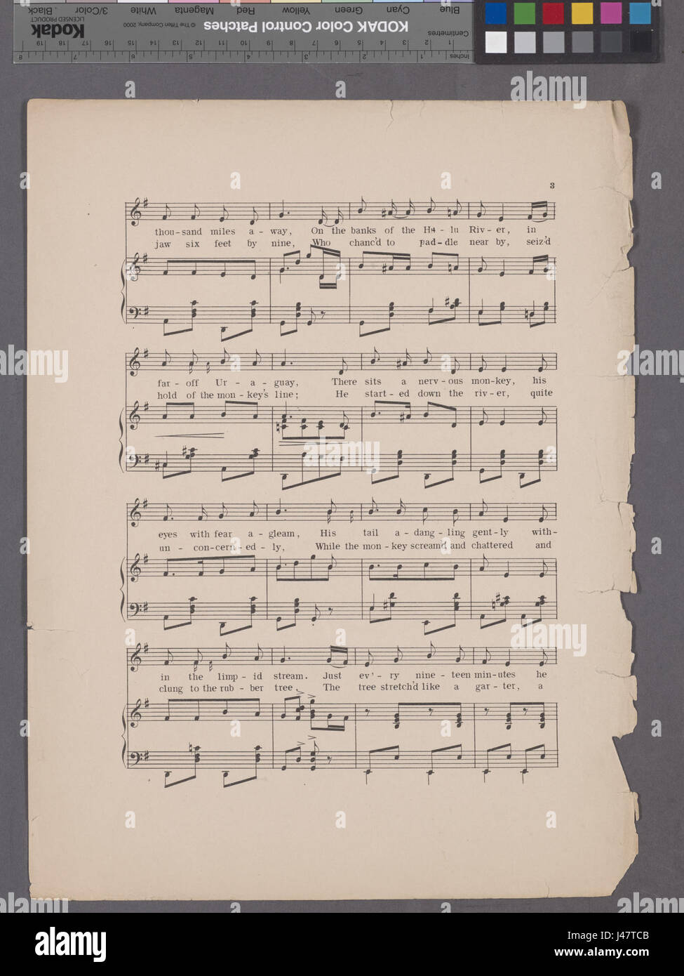 Affe Murmeln (NYPL Hades 1930457 1992627) Stockfoto