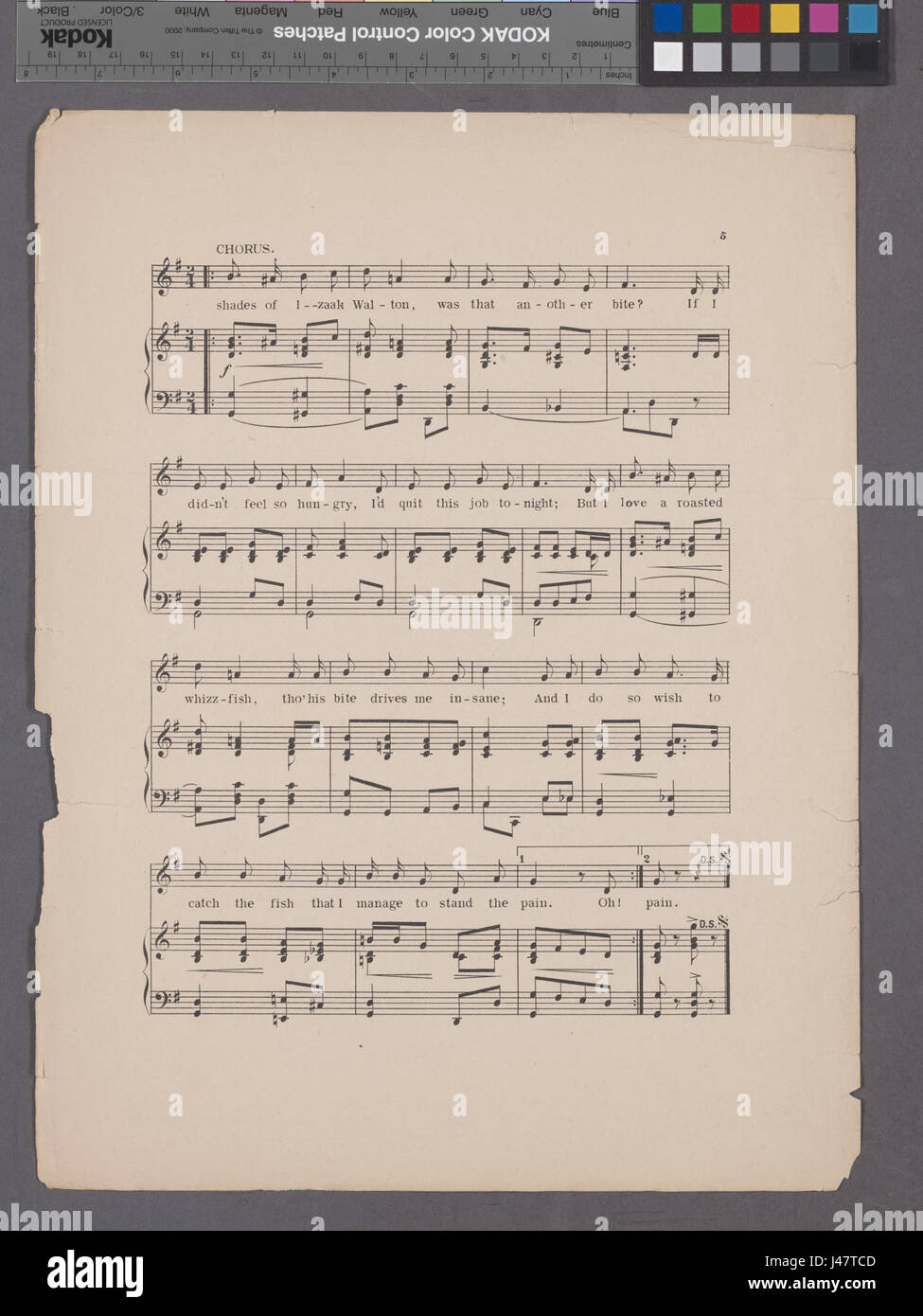 Affe Murmeln (NYPL Hades 1930457 1992629) Stockfoto