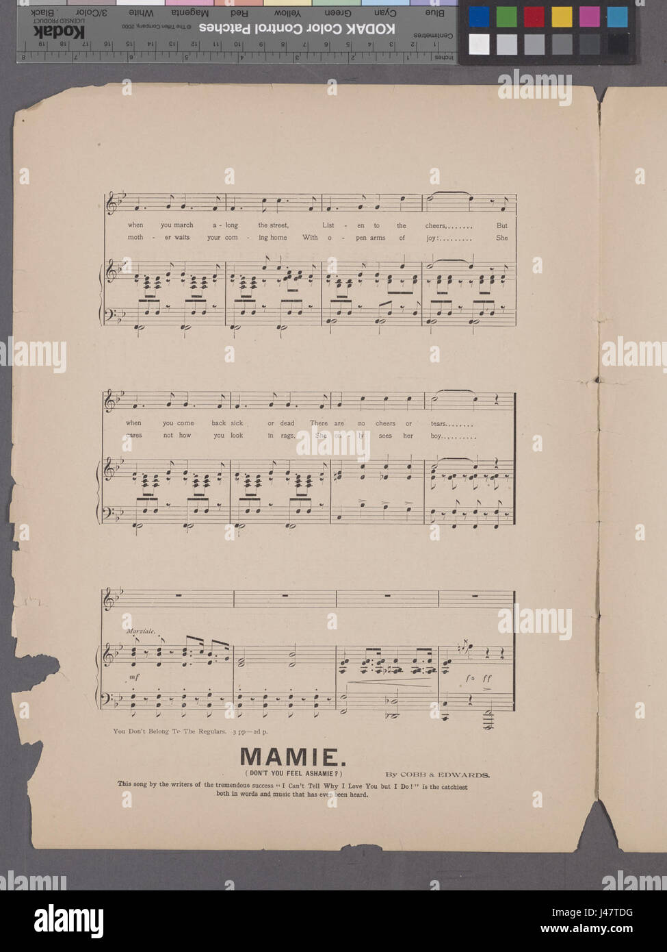 Der Satz „Herr Freiwilliger oder Sie gehören nicht zu den Stammgästen“ spiegelt die Unterscheidung zwischen regulären und ehrenamtlichen Mitgliedern einer Gruppe wider und betont möglicherweise das Engagement oder den Einsatz für eine Sache. Stockfoto