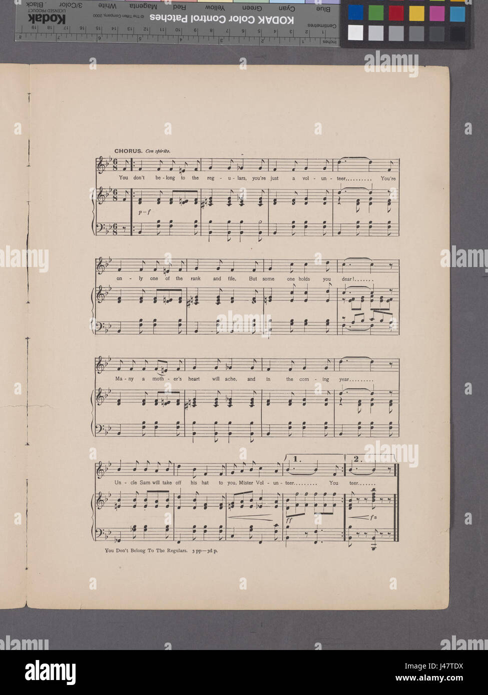 Dieses Foto aus der New York Public Library (NYPL) zeigt eine Darstellung von Freiwilligen gegenüber regulären Mitgliedern und betont das Konzept der Einbeziehung und Hierarchie in Gruppenrollen mit Verweisen auf Organisationsstrukturen in historischen Kontexten. Stockfoto