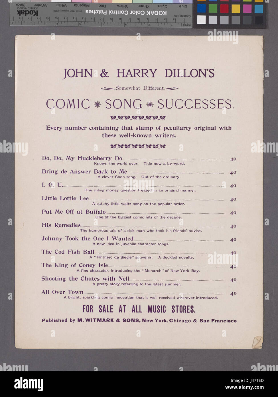 „My Black Pansy“ ist eine botanische Studie, die die tiefe, reiche Färbung dieser besonderen Stiefmütterchen-Spezies zeigt. Es ist Teil einer Sammlung in der New York Public Library (NYPL), die die Schönheit und Vielfalt der Stiefmütterchen zeigt. Stockfoto
