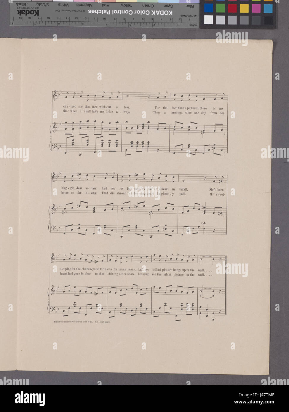 Meine Lieblinge-Bild an der Wand (NYPL Hades 1931557 1994134) Stockfoto