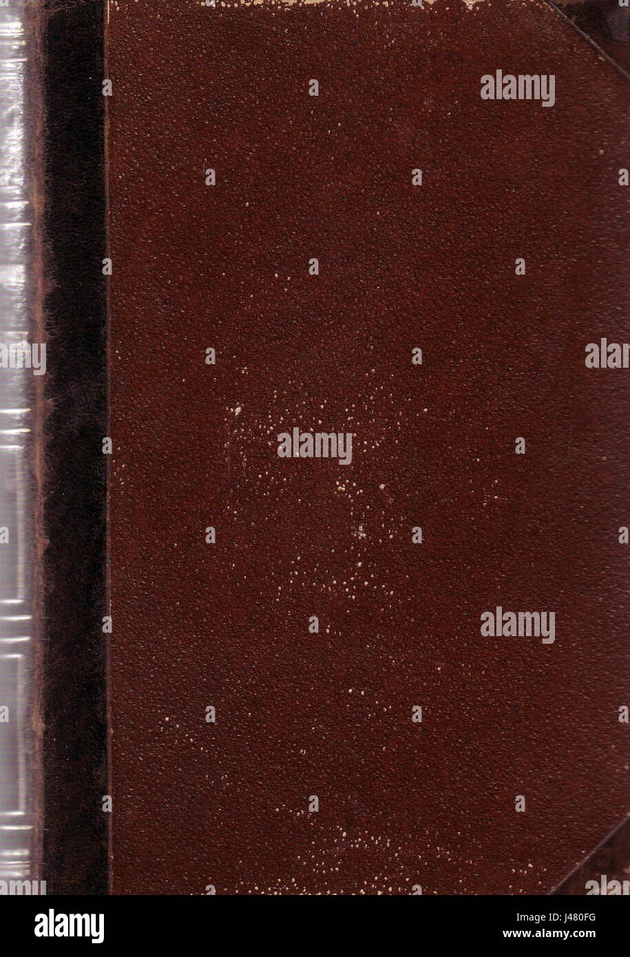 MN, Elisabeth 11 Stockfoto