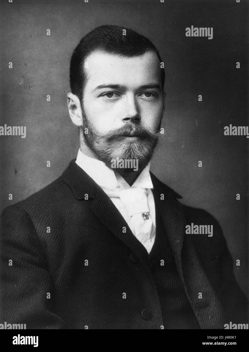 Nicholas II von Rußland 1893 Stockfoto