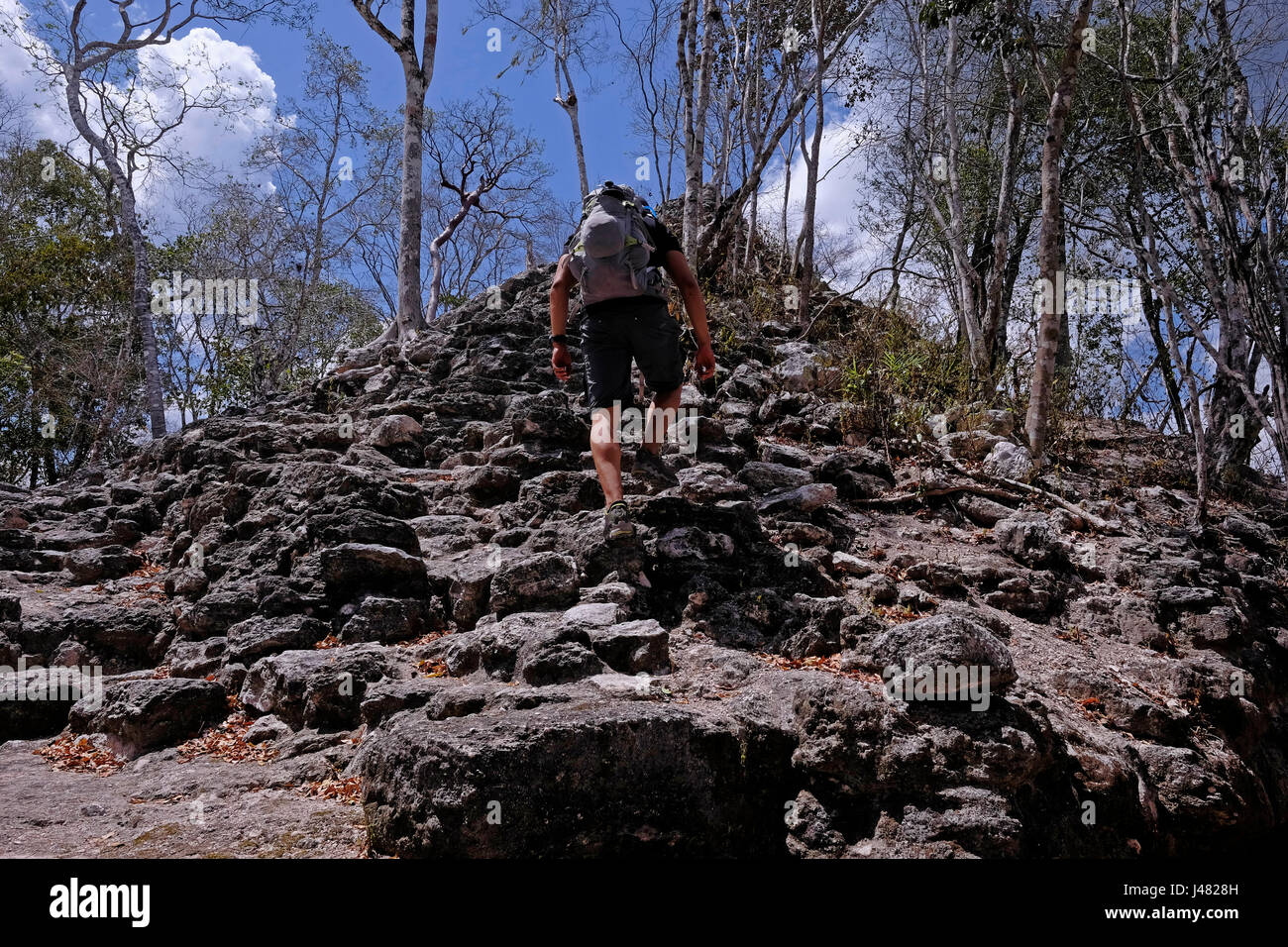 Ein Wanderer eine kleine Pyramiden-Struktur auf der Seite der Hauptpyramide auf der obersten Plattform klettern den Spitznamen El Tigre, bildet das übliche triadische Muster am El Mirador einer großen präkolumbischen Maya-Siedlung, befindet sich in einem abgelegenen Ort tief im Dschungel im Norden der modernen Abteilung der El Petén, Guatemala Stockfoto