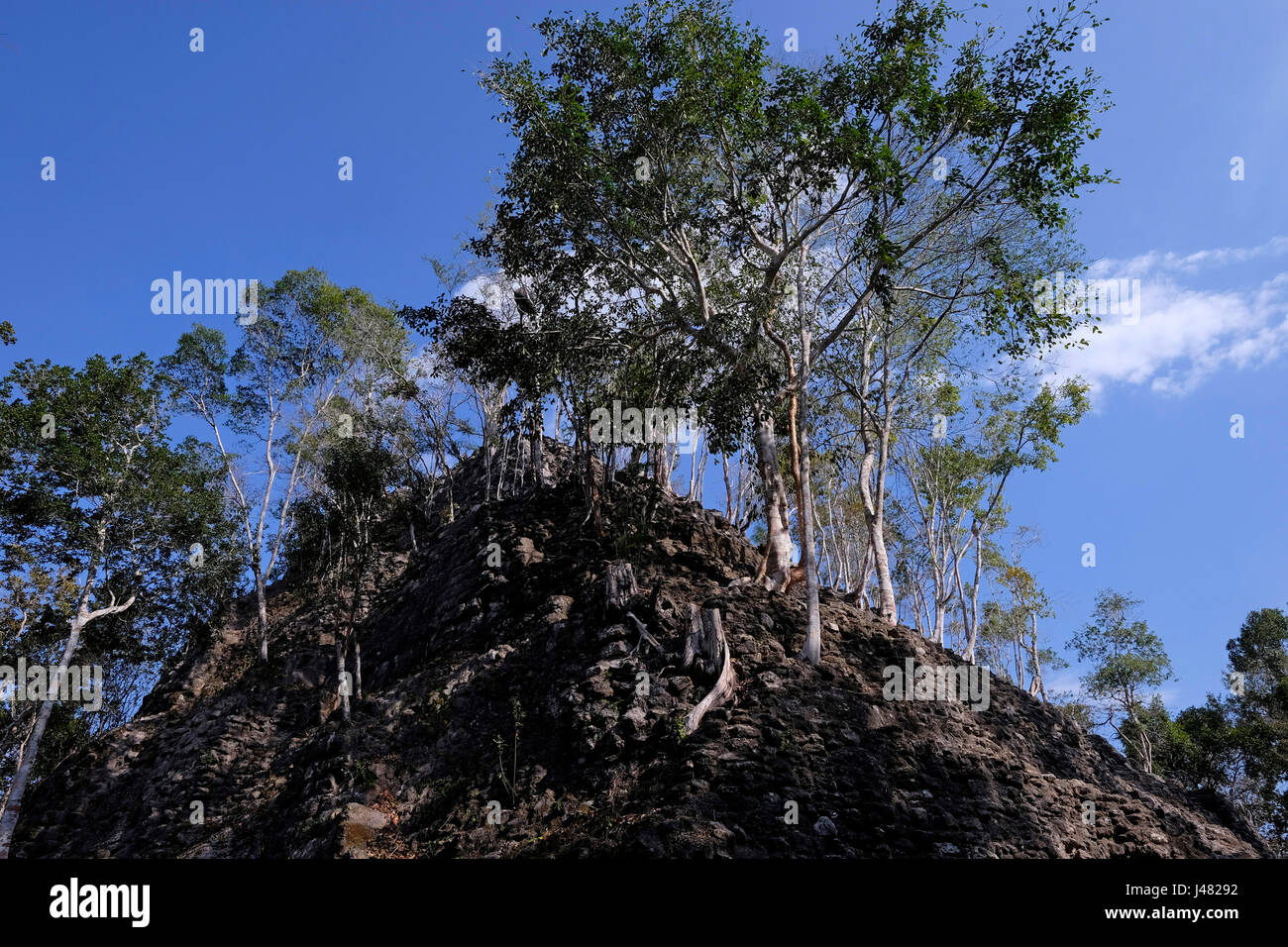 Blick auf El Dante die größte triadische Pyramidenstruktur jemals bauen in der Maya-Welt noch teilweise von Bäumen bedeckt, erhebt sich über den Dschungel Vordach an El Mirador eine große präkolumbische Maya-Siedlung, an einem Remotestandort befindet sich tief im Dschungel in der nördlich der modernen Abteilung des El Petén, Guatemala Stockfoto
